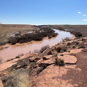 Meet your Posher, Eulalia